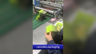 Torby wyjściowe zabezpieczone przed dziećmi: Zgodna z amerykańskim patentem, odporna na zapachy torba B2B z niestandardowym nadrukiem