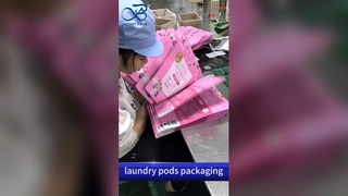 Plastikowa torba na zamek błyskawiczny na pojemniki na pranie: zabezpieczenie przed dziećmi, zabezpieczenie przed wilgocią B2B Sprzedaż hurtowa na zamówienie